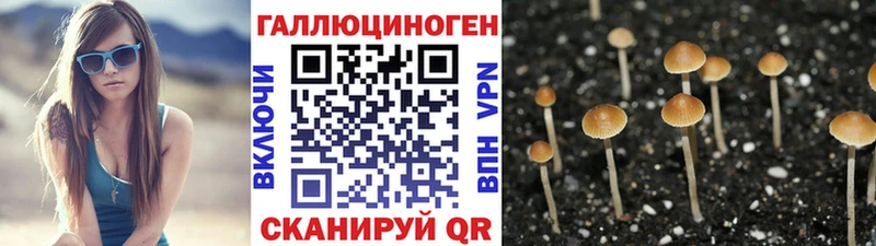 Псилоцибиновые грибы мухоморы  Тутаев 